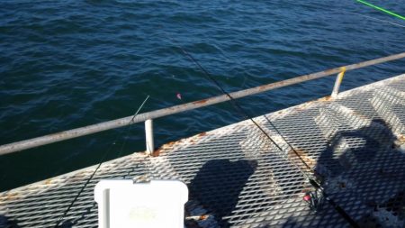 アジのサイズが少し大きくなってきました（下関フィッシングパーク）